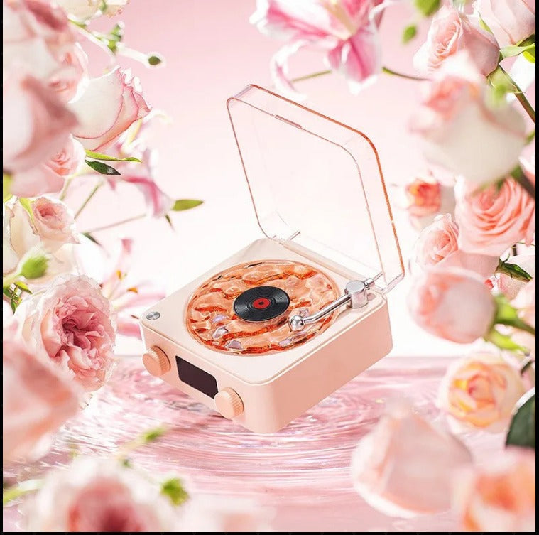 RetroTone vinyl speaker among pink roses